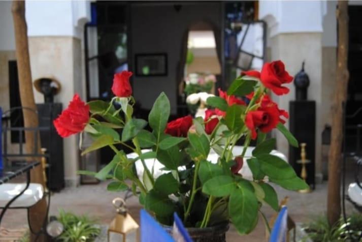 Riad Green Lotus Μαρακές Εξωτερικό φωτογραφία